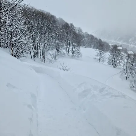 Les Chryolles - Les Chardons Bleus Chalet *